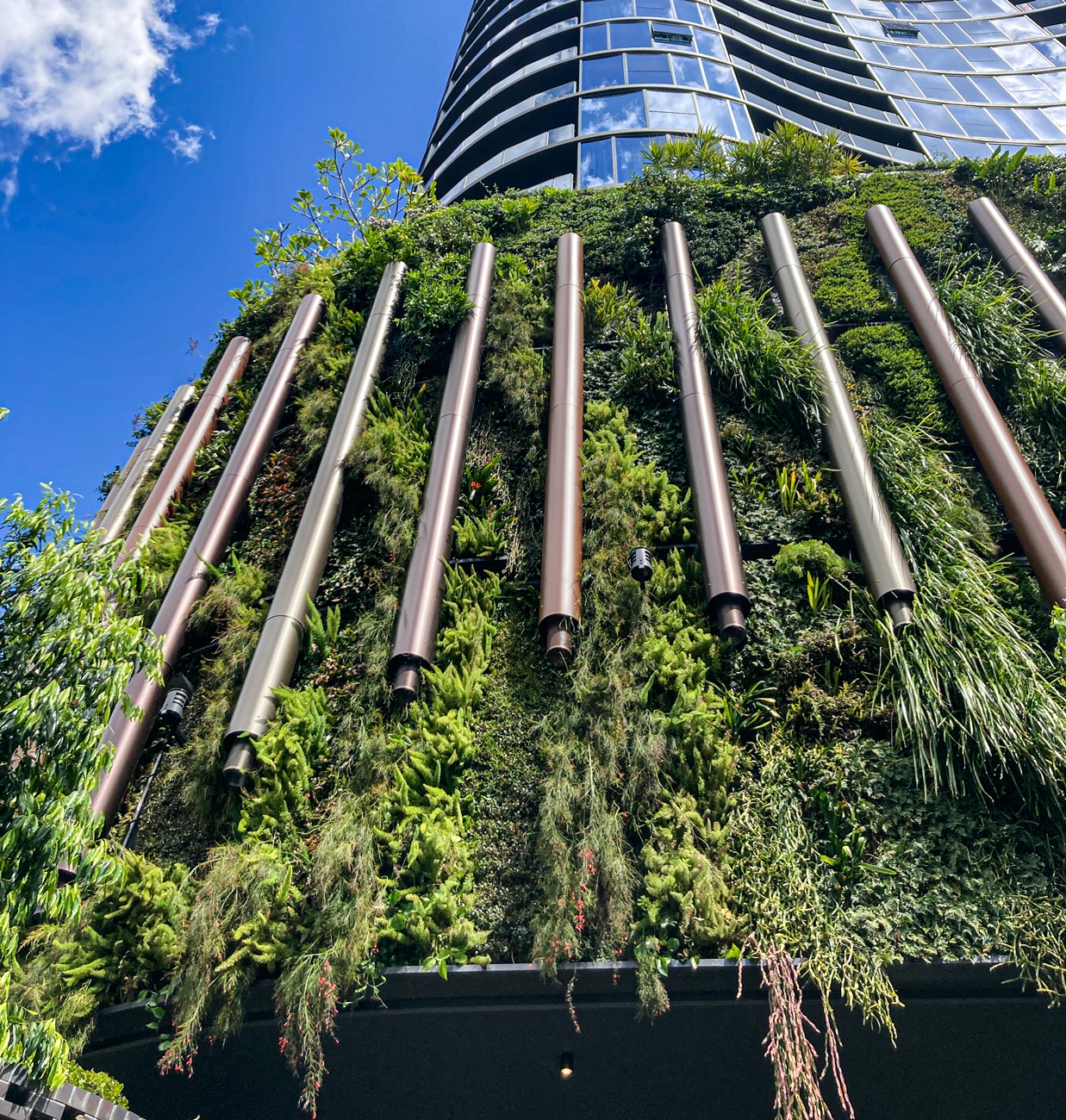 Featured Project: The Standard, Brisbane